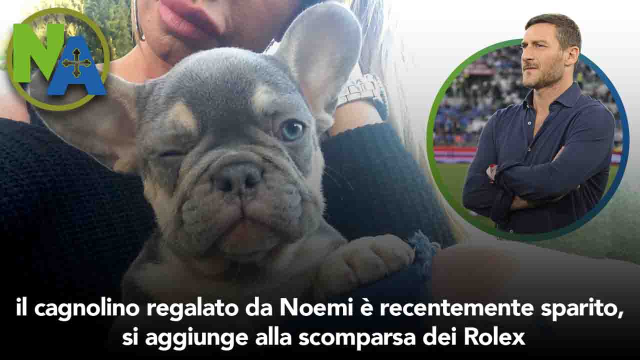 Francesco Totti cagnolino sparito