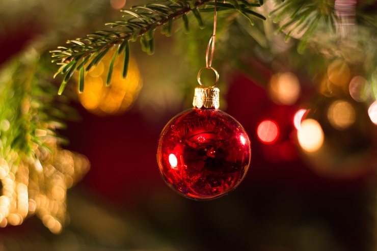 Quale albero hai scelto? Scopri chi sei veramente con il test di Natale