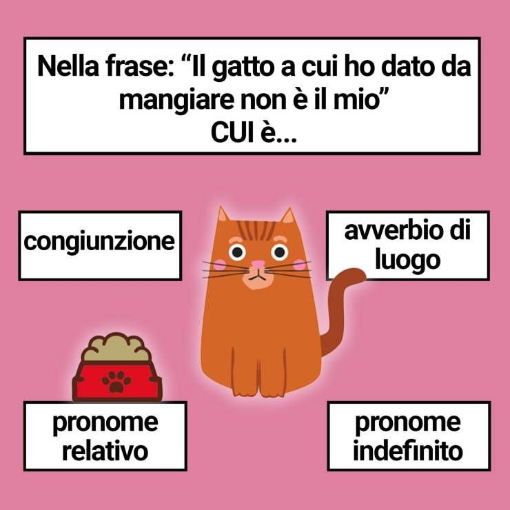 conosci grammatica 