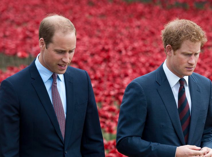 harry william verità viene a galla 