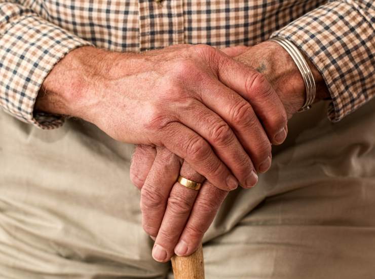 Pensioni in aumento? Il pensiero di Forza Italia