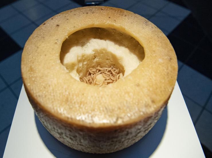 Casu Marzu il formaggio la cui vendita è stata vietata