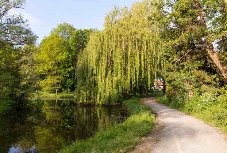 La strada italiana più bella da percorrere in primavera almeno una volta nella vita