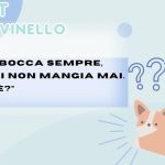 test indovinello soluzione