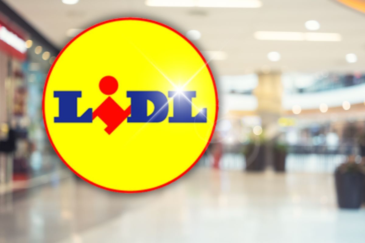 LIDL sfoggia un capo alla moda a prezzo stracciato